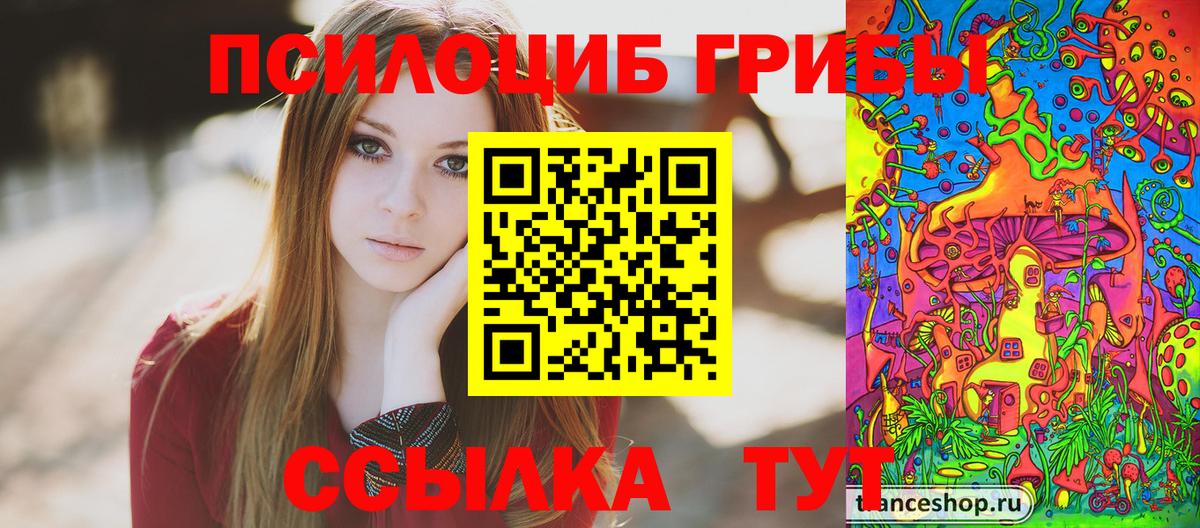 Новоалександровск  Галлюциногенные грибы мицелий  Вход с VPN 